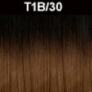 T1B30